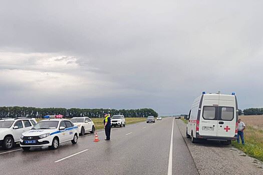 Шесть человек погибли в ДТП с двумя легковушками на Алтае