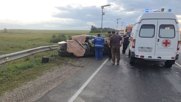 В Волгоградской области в ДТП с легковым авто и грузовиками погибли два ребенка