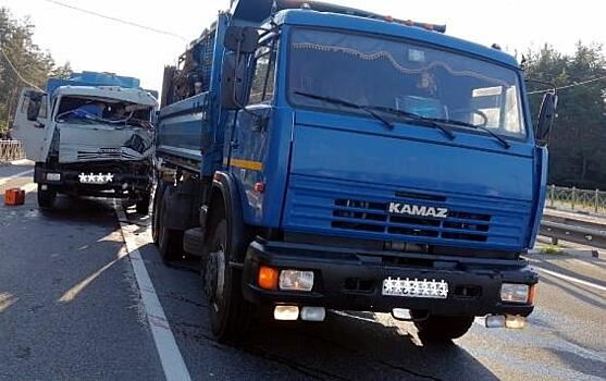 Под Курском столкнулись два «КамАЗа»: один водитель в больнице