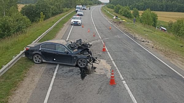 В Подмосковье BMW столкнулся с микроавтобусом, погибли мужчина и ребенок